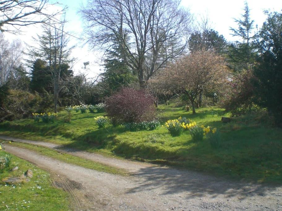 Innisfreedom Cabin Sligo Exteriér fotografie